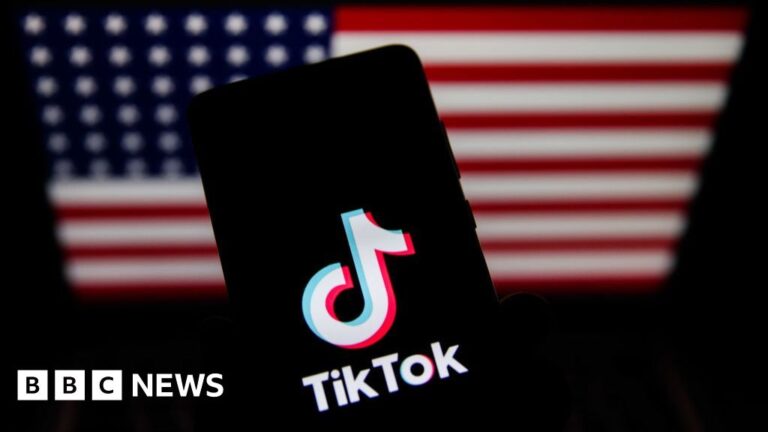 Read more about the article TikTok says it will ‘go dark’ if US government does not intervene