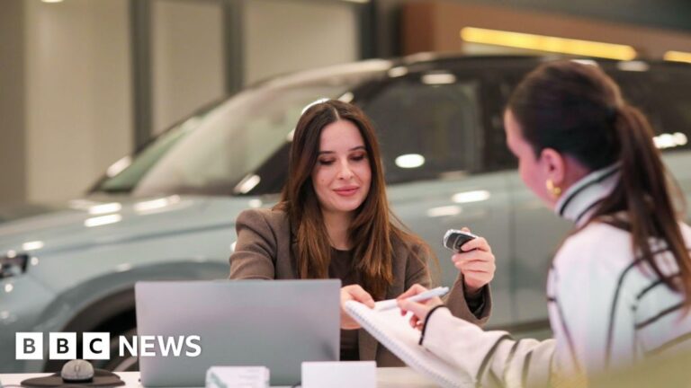 Read more about the article Treasury steps in to protect car loan firms’ payouts