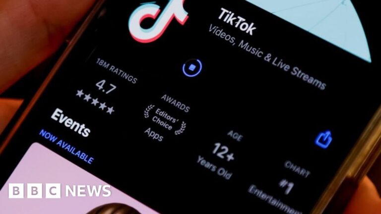 Read more about the article Trump says he will ‘most likely’ give TikTok 90-day reprieve from ban