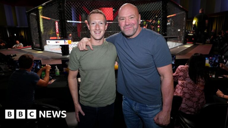 Read more about the article UFC boss Dana White and two others to join Meta board