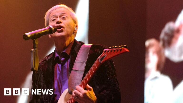 Read more about the article Wayne Osmond, singer with The Osmonds, dies at 73