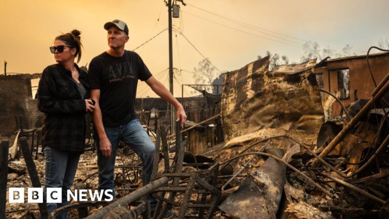 Read more about the article What’s happening in Los Angeles, and what caused the wildfires?