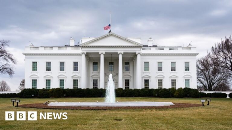 Read more about the article White House pauses federal grants and loans