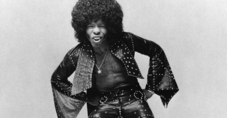 Read more about the article A Sly Stone Primer: 15 Songs (and More) From a Musical Visionary