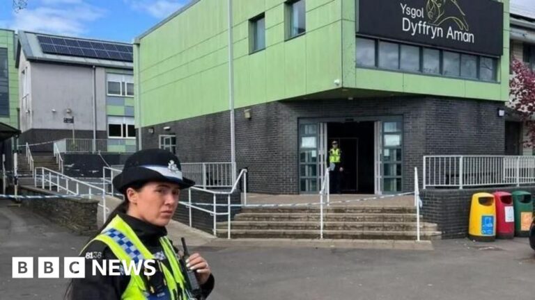 Read more about the article Ammanford school stabbing: Knife exclusions ‘too simple’