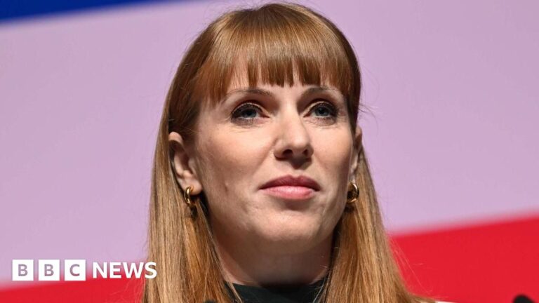 Read more about the article Angela Rayner defends handling of Grenfell Tower meeting