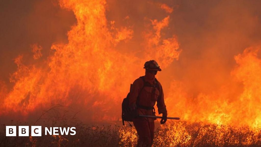 You are currently viewing Climate puzzle persists with unexpectedly warm January