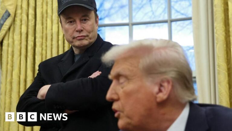 Read more about the article Elon Musk denies ‘hostile takeover’ of government in surprise White House appearance