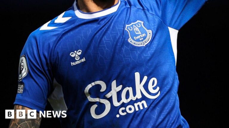 Read more about the article Everton’s sponsor leaves GB amid porn ad probe