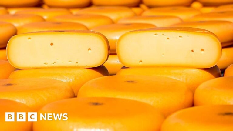 Read more about the article Google remakes Super Bowl ad after AI cheese gaffe