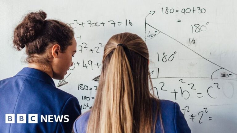 Read more about the article Harlow school punishes pupils for scoring below 90% in maths