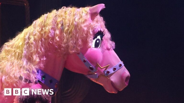 Read more about the article Highlights, lowlights and a big pink pony