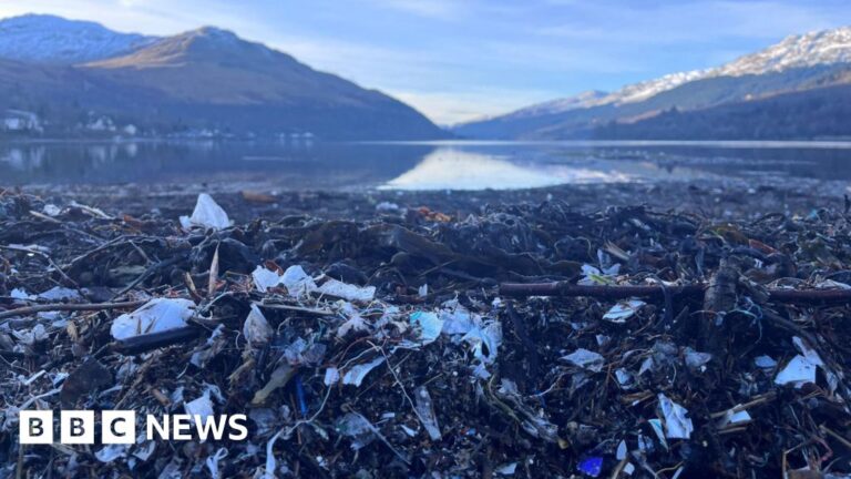 Read more about the article How Loch Long became a magnet for Scotland’s plastic waste