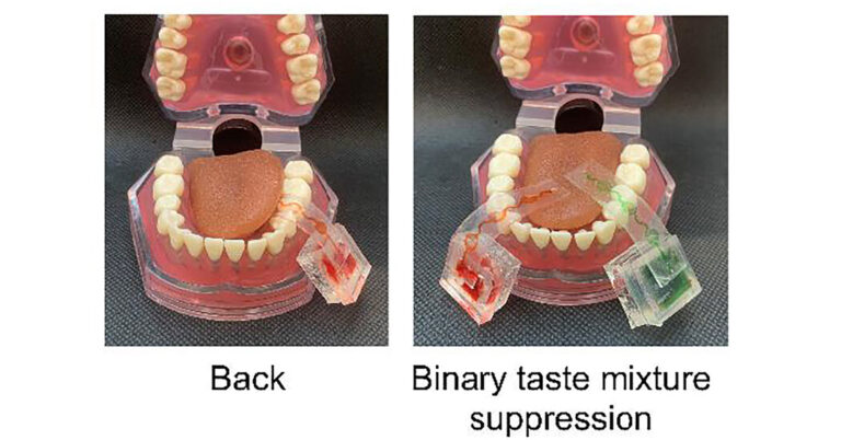 Read more about the article It’s Like Virtual Reality Goggles for Your Mouth