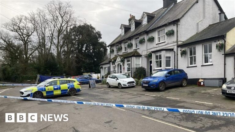 Read more about the article Manhunt after woman seriously injured at village pub