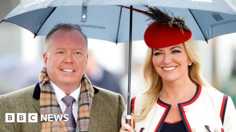 Read more about the article Michelle Mone-linked PPE firm evidence to be heard in private, Covid inquiry rules