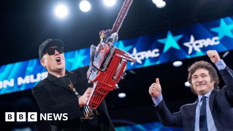 Read more about the article Musk wields his Doge chainsaw, but is a backlash brewing?