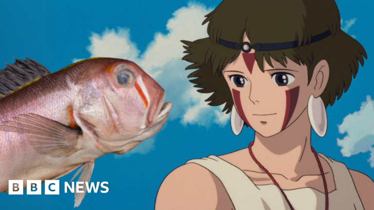 Read more about the article Princess Mononoke’s San inspires naming of deep-sea fish