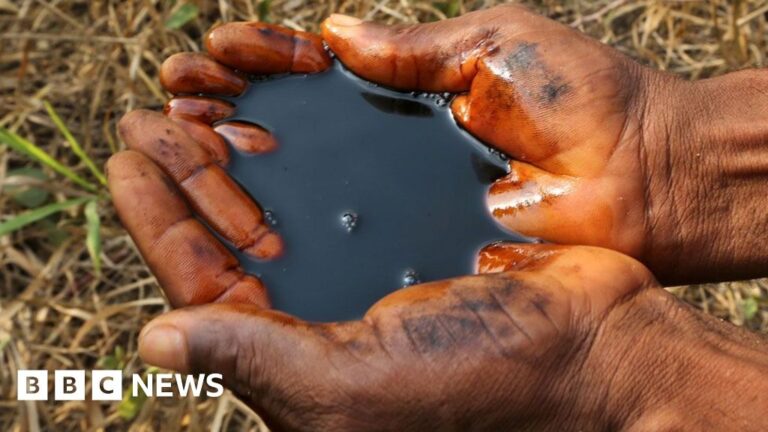 Read more about the article Shell ignored warnings of spill clean-up ‘scam’, whistle-blower tells BBC