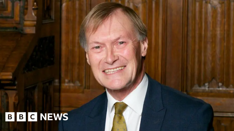 Read more about the article Sir David Amess killer left Prevent too quickly, review says