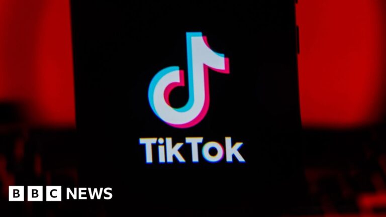 Read more about the article TikTok says data of four dead British teens may have been removed