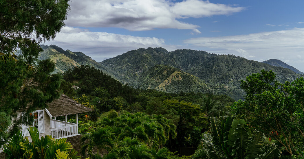 You are currently viewing Where to Eat, Sleep and Shop in Kingston, Jamaica