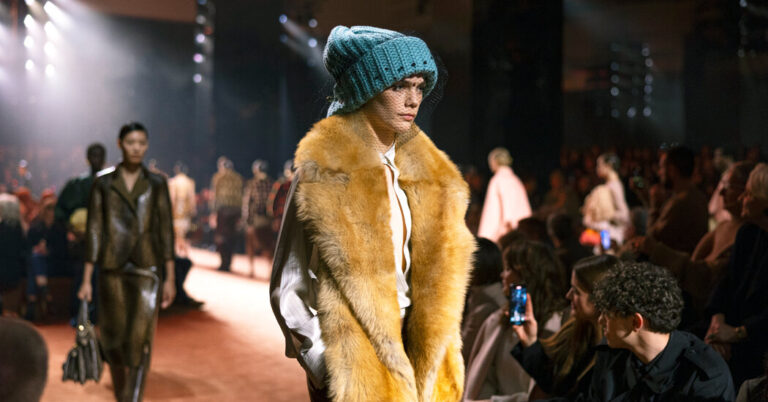 Read more about the article Designers Really Want Us to Wear Fur. Or Something Like It.