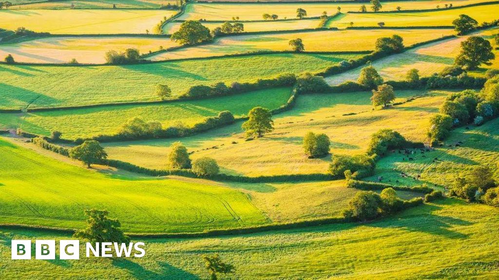 Read more about the article Environmental scheme closure a ‘shattering blow’ to farmers