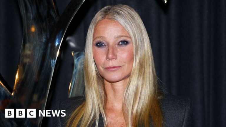 Read more about the article Gwyneth Paltrow told intimacy co-ordinator to ‘step back’ before sex scenes with Chalamet