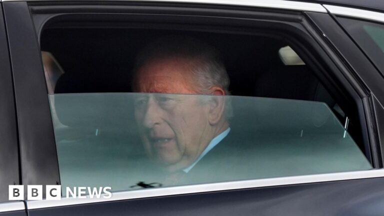 Read more about the article King Charles seen for first time after short hospital visit