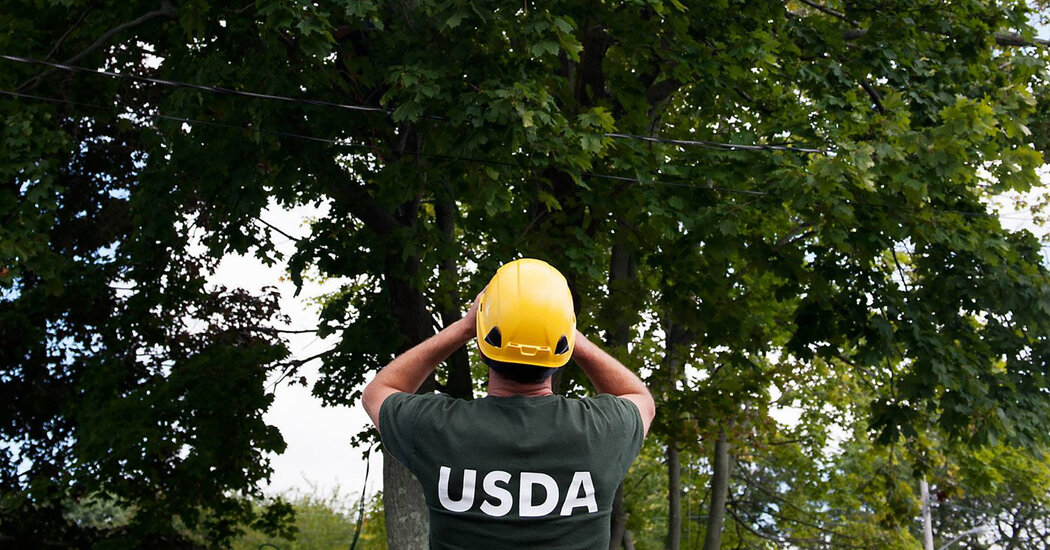 You are currently viewing Mass Federal Firings May Imperil Pets, Cattle and Crops