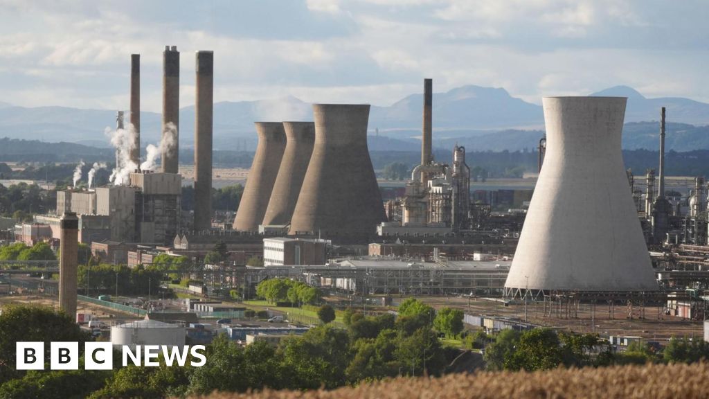 Read more about the article Project Willow report predicts 800 green jobs could be created