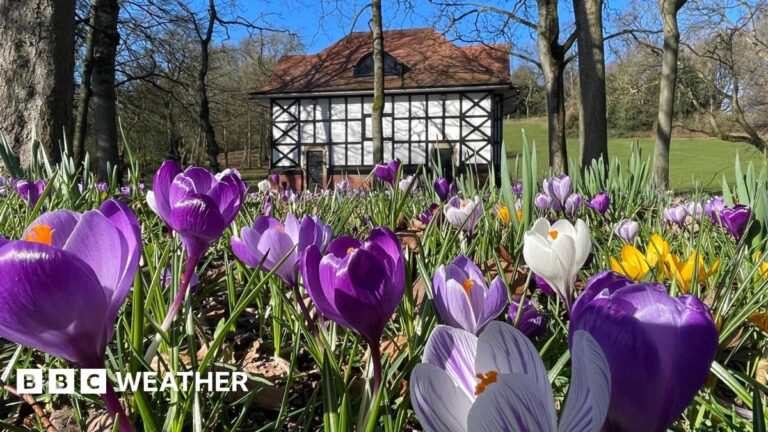 Read more about the article Spring is “fastest-warming” season in the UK