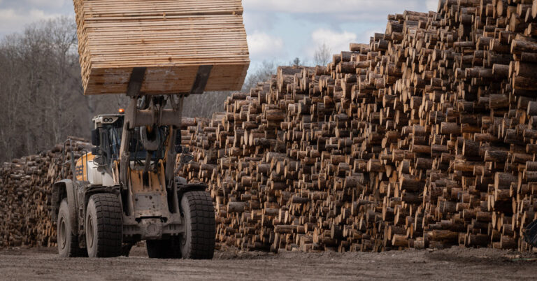 Read more about the article Trump Picks Another Trade Fight With Canada Over Lumber