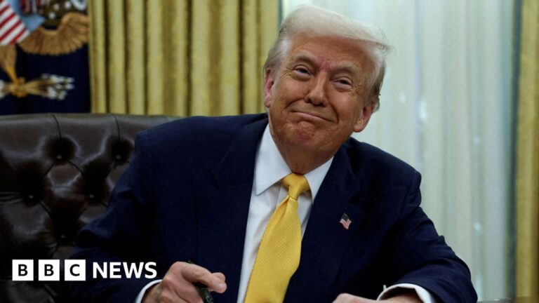 Read more about the article Trump uses wartime powers to boost mineral production