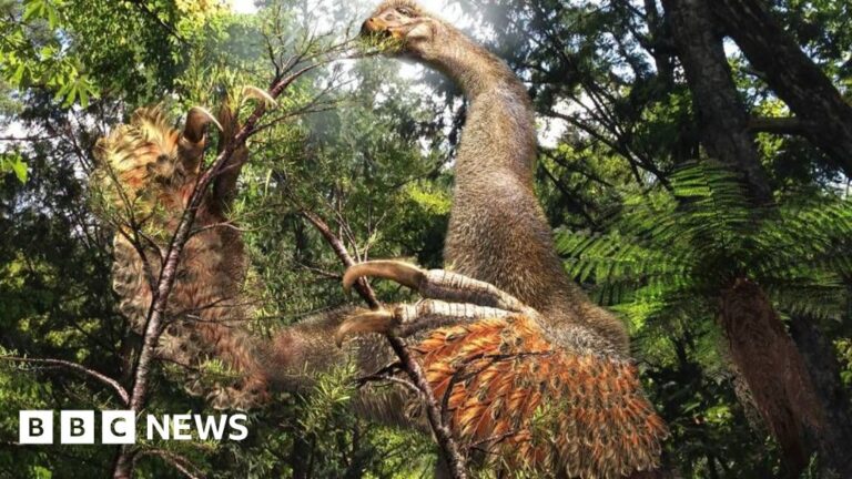 Read more about the article Two-clawed dinosaur species discovered in Gobi Desert