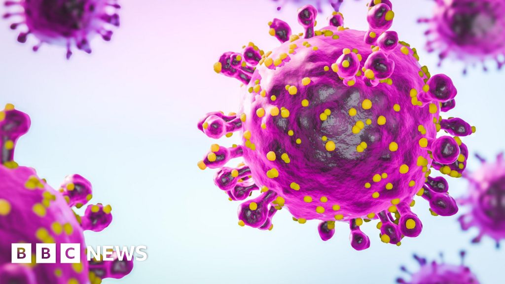 UK draws up new disease-threat watch list - Stream24 News You are currently viewing UK draws up new disease-threat watch list