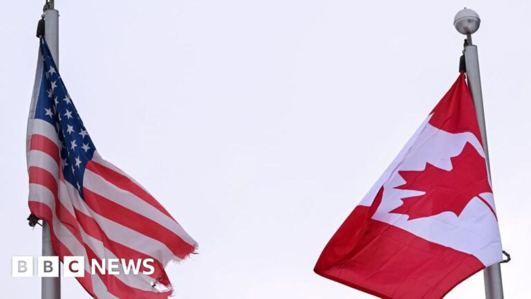 Read more about the article US tariffs on Canada and Mexico will go ahead on Tuesday, says commerce chief