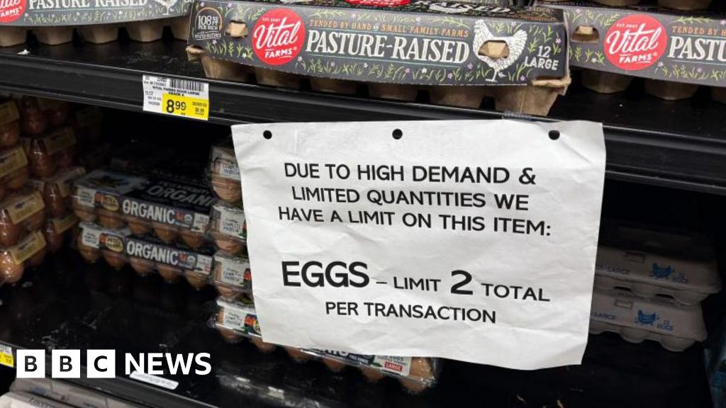 US to import eggs from Turkey and South Korea to ease prices - Stream24 News You are currently viewing US to import eggs from Turkey and South Korea to ease prices