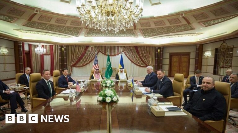 Read more about the article Ukraine ready to accept 30-day ceasefire with Russia proposed by US