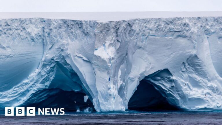 Read more about the article World’s biggest iceberg runs aground off remote island