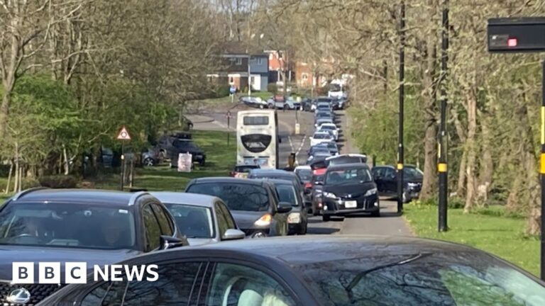 Read more about the article Big queues at Birmingham waste collection site amid bin strike