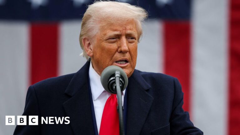 Read more about the article Tariffs announced on goods entering US from NI and Ireland