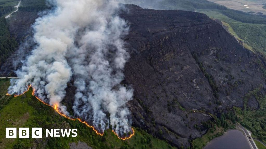 You are currently viewing Wildfire home scare has owners worried about future