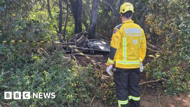 Read more about the article At least eight dead in hot air balloon accident in Brazil