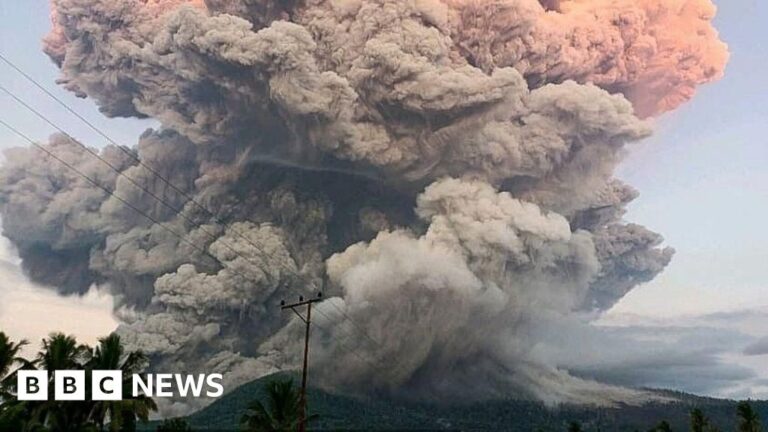 Read more about the article Bali flights cancelled after Indonesia’s Lewotobi volcano erupts