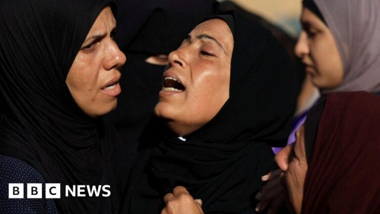 Read more about the article Eleven killed by Israeli fire while seeking aid, rescuers say