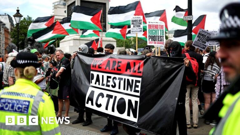 Read more about the article Government to ban Palestine Action, home secretary confirms