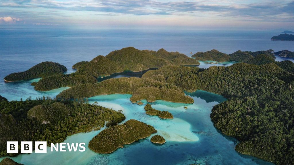 You are currently viewing How a race for electric vehicles threatens a marine paradise