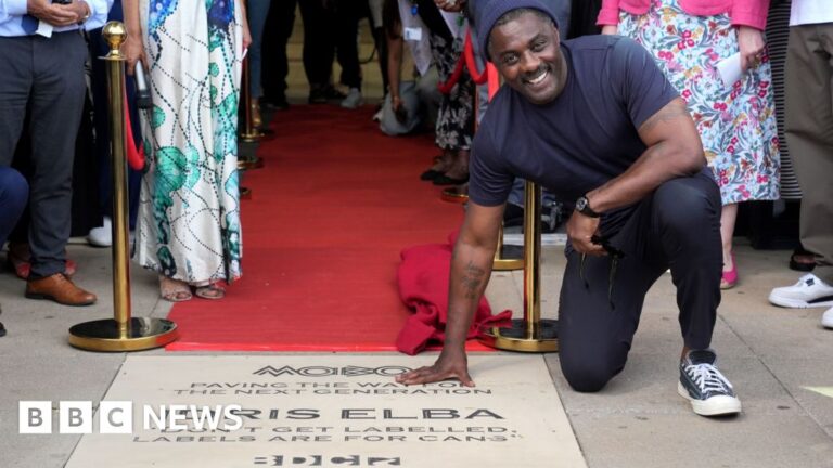 Read more about the article Idris Elba unveils honorary stone at Barking and Dagenham College